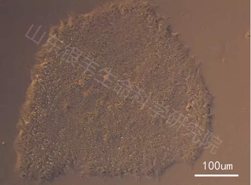 微信截图_20211220103550.png