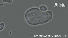 04.gif