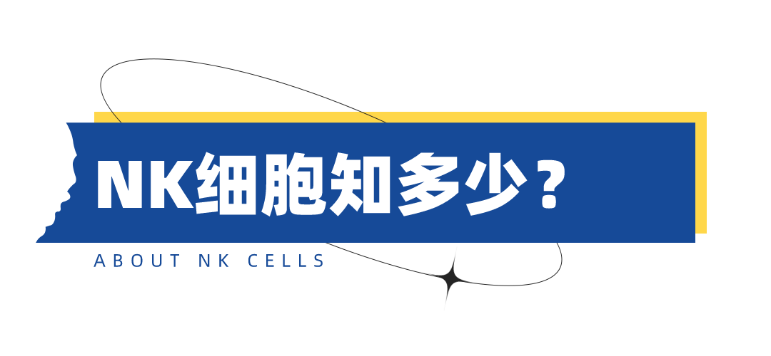 000.png