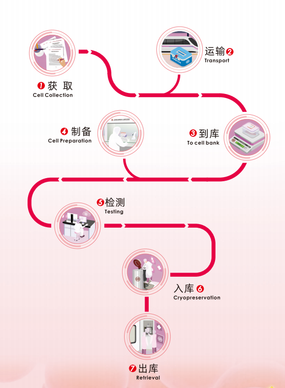 wechat_2025-08-07_175717_992.png