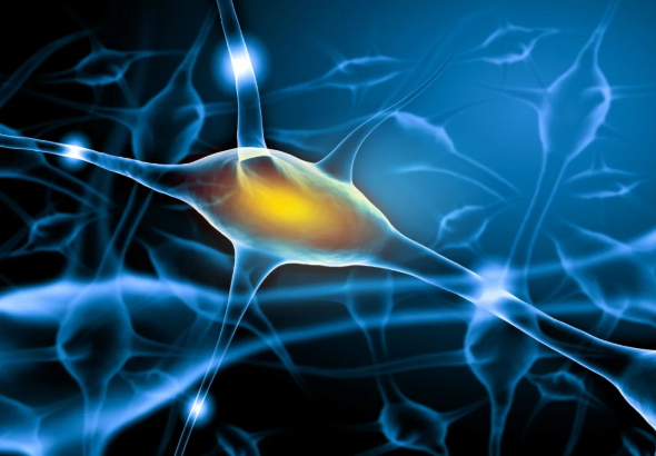 1762508677237229.png 02.png