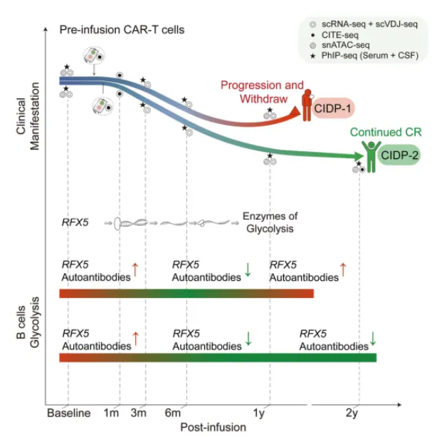 1762508695575735.png 03.png