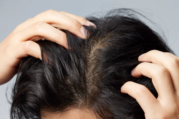 1763713954599804.png 01.png