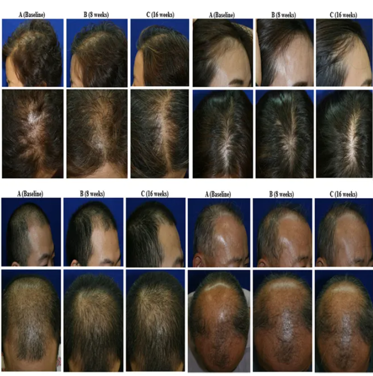 1763713982888458.png 04.png