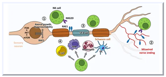 1764149800914249.png 02.png