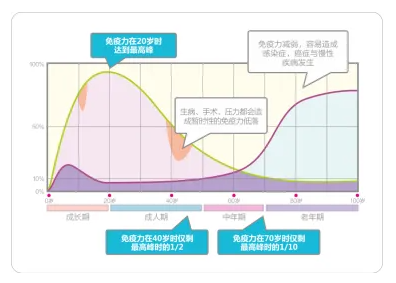 1764149817507435.png 04.png