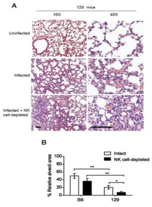 1765421304881646.png 02.png