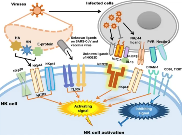 1765421313949287.png 03.png