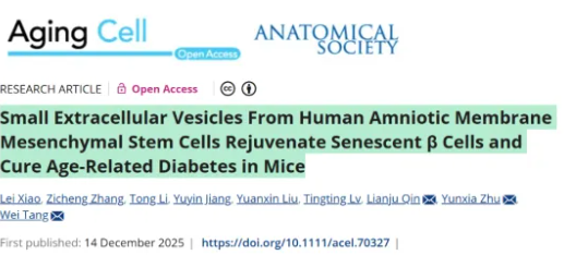 1767778401237941.png 06.png