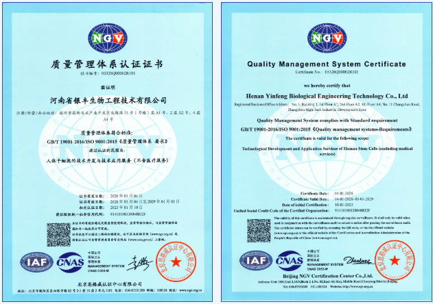 1773734124980437.png 01.png